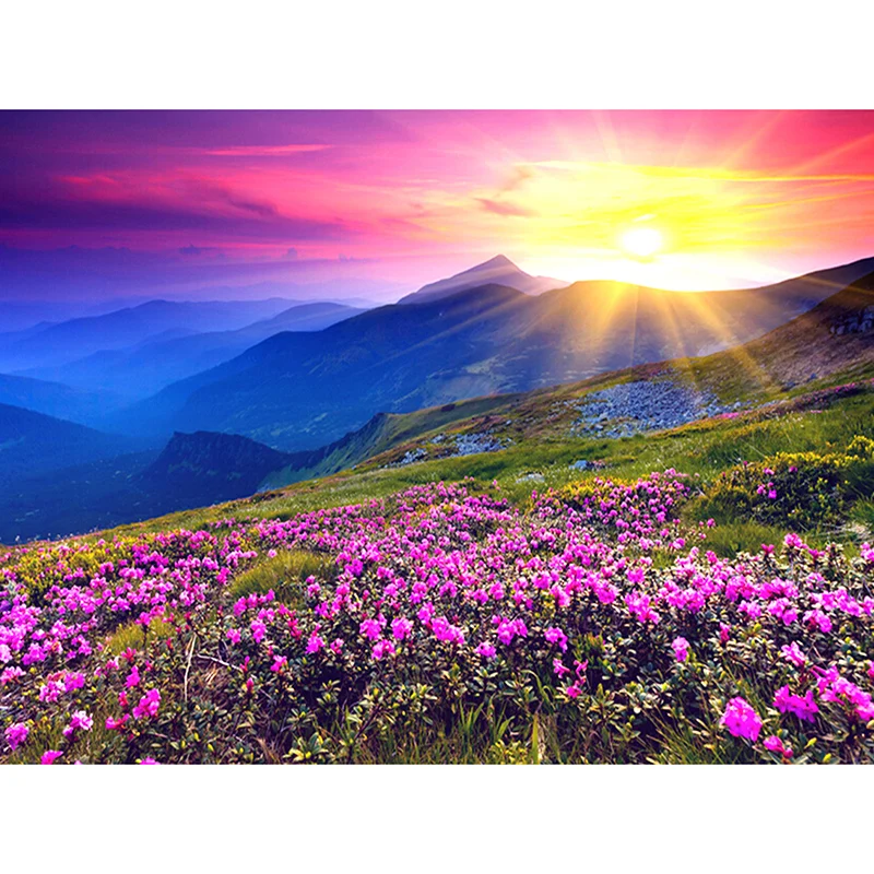 New Generation DIY 5D Diamond Embroidery Landscape Sunrise and Purple Flower Pattern Painting Rhinestones Diamond Mosaic Kits zx
New Generation DIY 5D Diamond Embroidery Landscape Sunrise and Purple Flower Pattern Painting Rhinestones Diamond Mosaic Kits zx