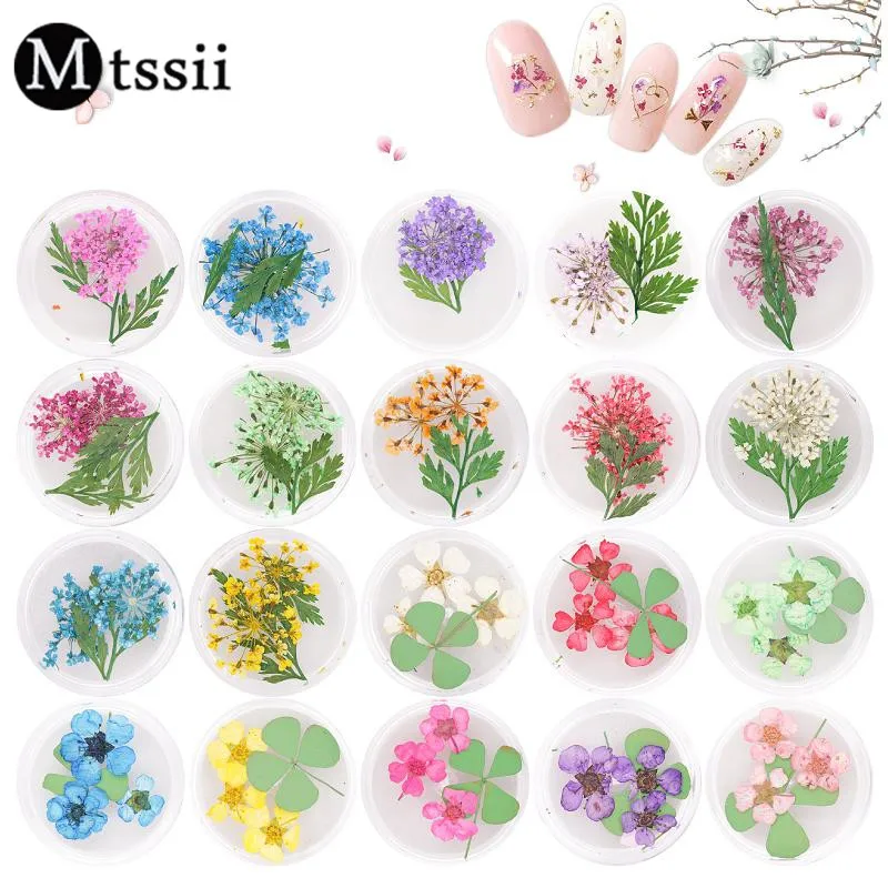 Mtssii Dried Flowers Nail Art 3D Preserved Petal Leaf Nail Tips Decoration DIY 3D Slices Decal Manicure Nail Art
Mtssii Dried Flowers Nail Art 3D Preserved Petal Leaf Nail Tips Decoration DIY 3D Slices Decal Manicure Nail Art