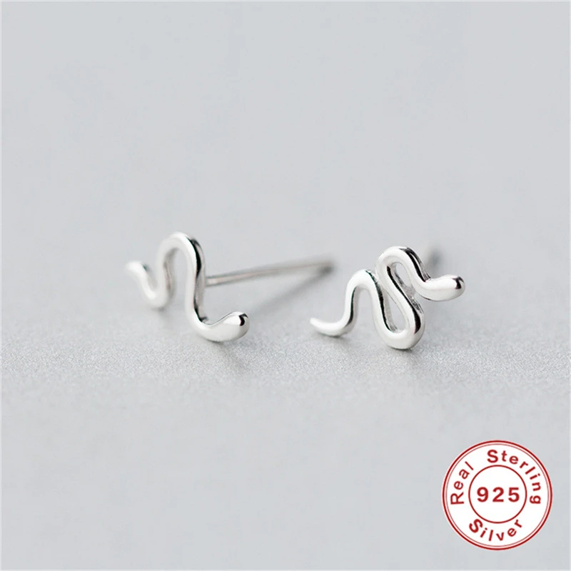 Canner 925 Sterling Ethnic Silver Snake Stud Earrings Women Men Girl Birthday Gift Jewelry Punk Casual Tiny Animal Earring C3
Canner 925 Sterling Ethnic Silver Snake Stud Earrings Women Men Girl Birthday Gift Jewelry Punk Casual Tiny Animal Earring C3