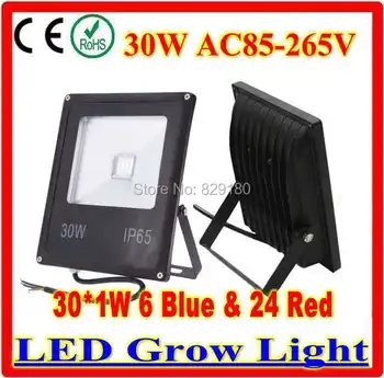 30W Led Grow Light Hydroponic Grow Leds with Blue 554nm Red 660nm Hydroponic Plant Flood LED Grow Lights Water Proof IP 65
30W Led Grow Light Hydroponic Grow Leds with Blue 554nm Red 660nm Hydroponic Plant Flood LED Grow Lights Water Proof IP 65