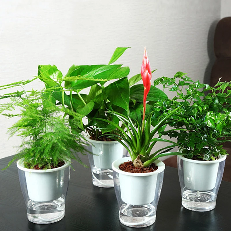 Lazy Flower Pots Auto Irrigate Flower Pot Hydroponics Plant Holder Free Watering Succulent Plant Container Gardening Tool
Lazy Flower Pots Auto Irrigate Flower Pot Hydroponics Plant Holder Free Watering Succulent Plant Container Gardening Tool