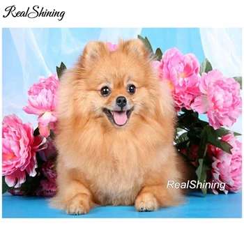 REALSHINING Full Diy Diamond Painting Cross Stitch Pomeranian Dog Flowers,Diamond Mosaic gift Rhinestones Embroidery FS3123
REALSHINING Full Diy Diamond Painting Cross Stitch Pomeranian Dog Flowers,Diamond Mosaic gift Rhinestones Embroidery FS3123