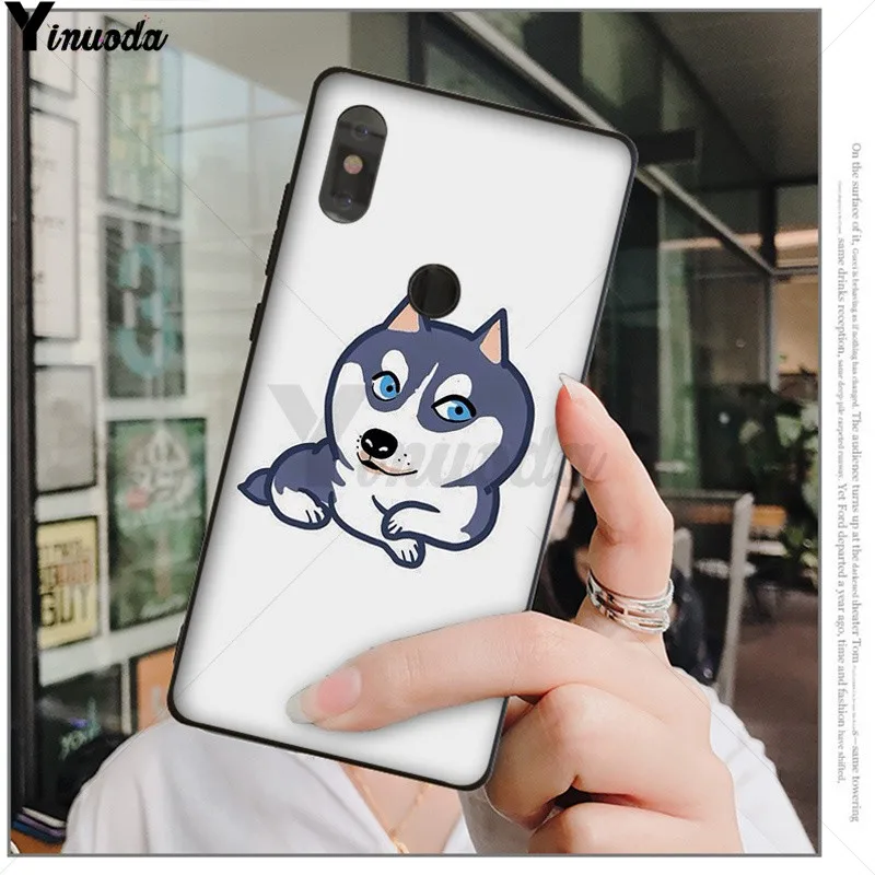 Animal Husky cute Puppy Dog