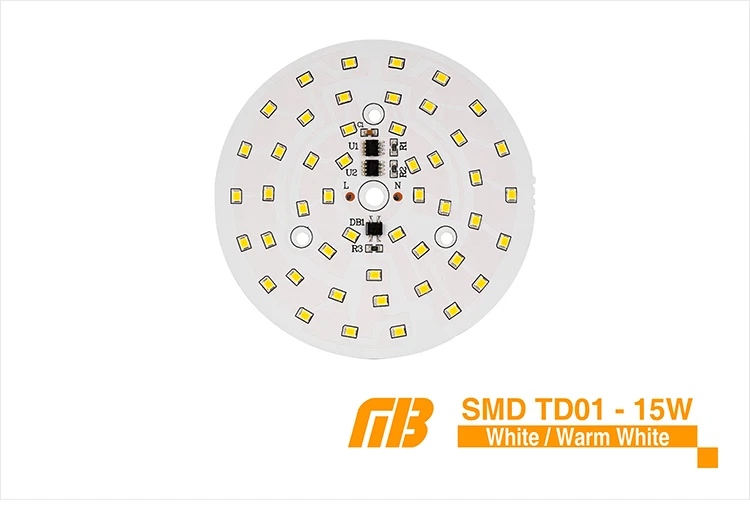 LED Down Light_TD-01 Chip_07