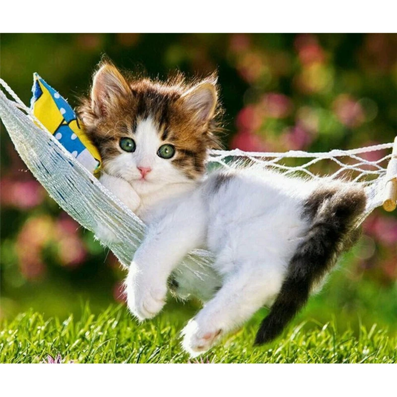Добавить Любые Картинки
