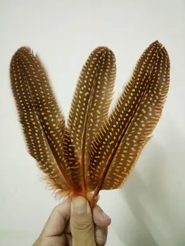 Hot! Sales 200 pc beautiful orange guinea fowl wings - feathers, 6-8"/ 15-20CM DIY Jewelry Decoration Accessories
Hot! Sales 200 pc beautiful orange guinea fowl wings - feathers, 6-8"/ 15-20CM DIY Jewelry Decoration Accessories