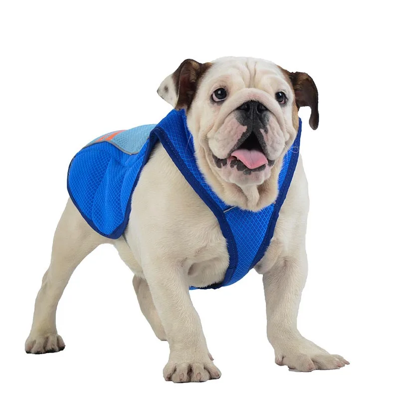 Newly Summer Dog Cooling Vest Breathable Cool Coat Sunscreen Pet Jacket for Small Medium Large Dogs
Newly Summer Dog Cooling Vest Breathable Cool Coat Sunscreen Pet Jacket for Small Medium Large Dogs