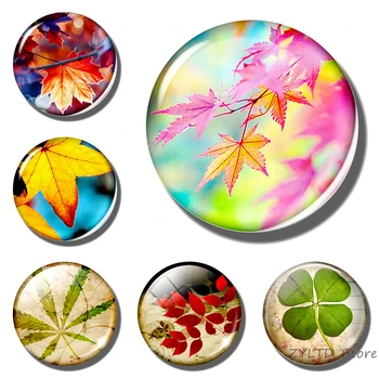 Maple leaf Colorful leaf natural Autumn leaves fridge magnet refrigerator magnets 30MM Glass cabochon stickers home decoration
Maple leaf Colorful leaf natural Autumn leaves fridge magnet refrigerator magnets 30MM Glass cabochon stickers home decoration