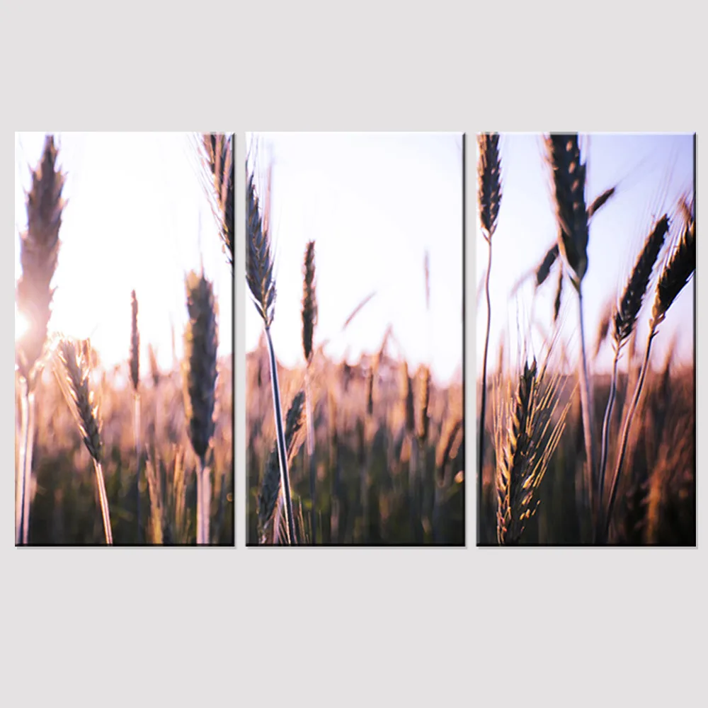 Unframed Canvas Painting Autumn Reed Plant A4 Printed and Poster HD Wall Art Scenery Oil Picture Modern Home Decoration 3 Panel
Unframed Canvas Painting Autumn Reed Plant A4 Printed and Poster HD Wall Art Scenery Oil Picture Modern Home Decoration 3 Panel