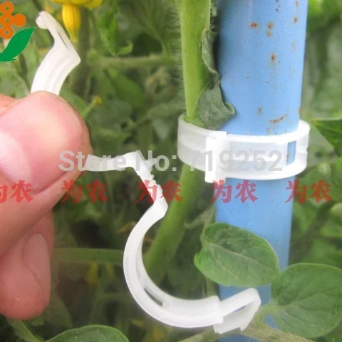 50pcs Quality Durable Plastic Sling Clips Fastener Plant Vines Tomato Fix Snap Joint Vegetable Bush Tendril Binder Farming Clip
50pcs Quality Durable Plastic Sling Clips Fastener Plant Vines Tomato Fix Snap Joint Vegetable Bush Tendril Binder Farming Clip