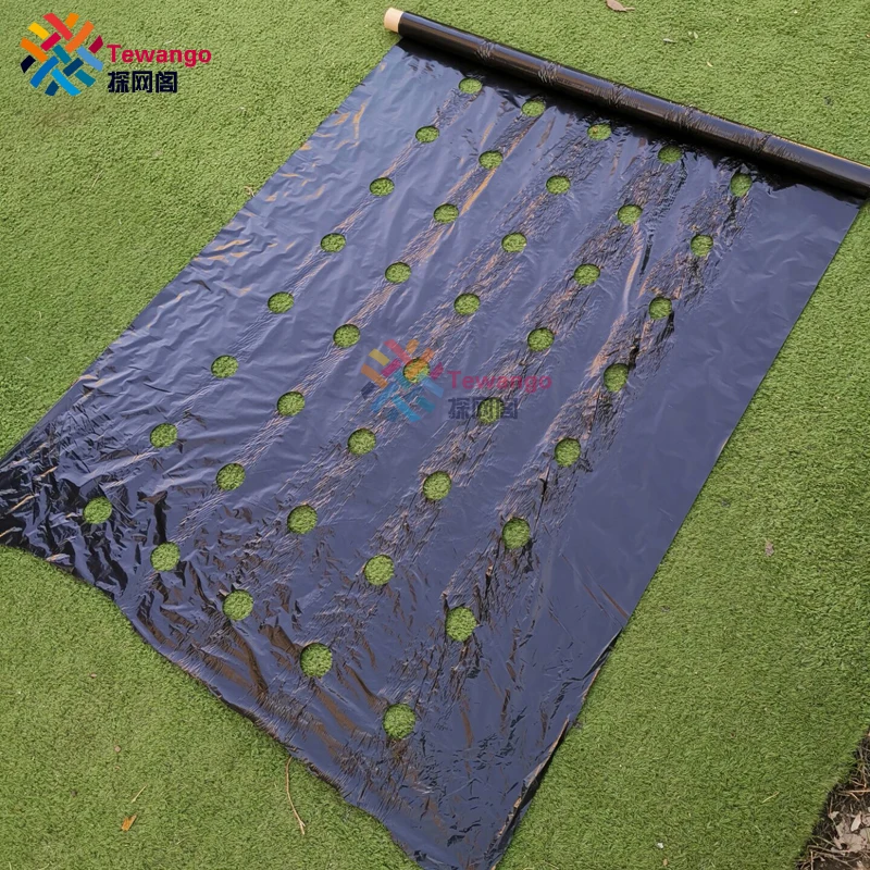 

Tewango Biodegradeable Weed Control Mulch Film Allotments Veg Patch Borders 0.95m x 10m/20/50M Ground Cover 0.02MM Thickness