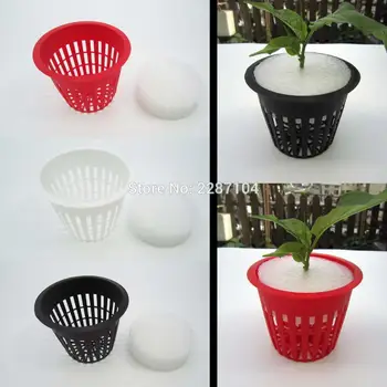 10pcs Large 3" Black White Red Mesh Pot Net Cup Basket + Clone Cloning Root Guard Fix Flower Plant Vegetable Hydroponic Grow 
10pcs Large 3" Black White Red Mesh Pot Net Cup Basket + Clone Cloning Root Guard Fix Flower Plant Vegetable Hydroponic Grow