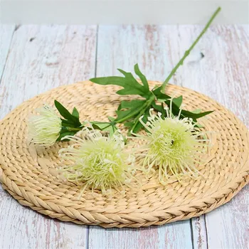 10Pcs Fake Pincushion Flower 20.08" Length Simulation Plastic Leucospermum Spp for Home Wedding Decorative Artificial Flowers
10Pcs Fake Pincushion Flower 20.08" Length Simulation Plastic Leucospermum Spp for Home Wedding Decorative Artificial Flowers