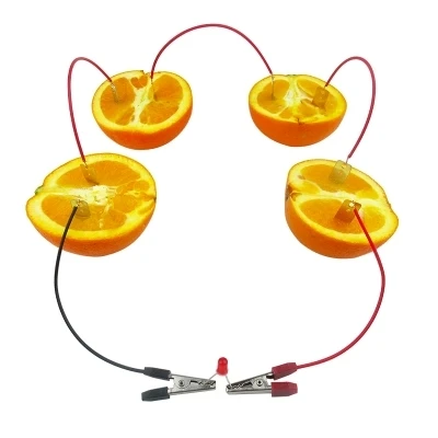 Scientific experiments Fruit battery Creative and environmental protection Zinc and copper electrodes generate electricity
Scientific experiments Fruit battery Creative and environmental protection Zinc and copper electrodes generate electricity