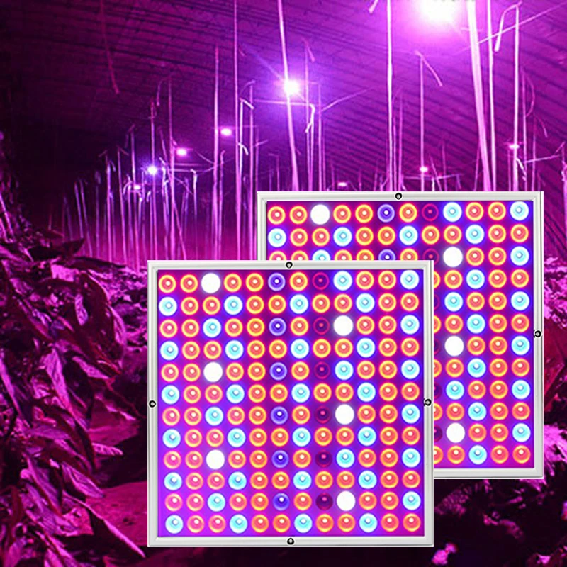 Grow Tent Lamp Plant Cultivation 500W Phyto Lamp For Plants Seedlings Full Spectrum LED Grow Light For Indoor Plants Vegetables
Grow Tent Lamp Plant Cultivation 500W Phyto Lamp For Plants Seedlings Full Spectrum LED Grow Light For Indoor Plants Vegetables
