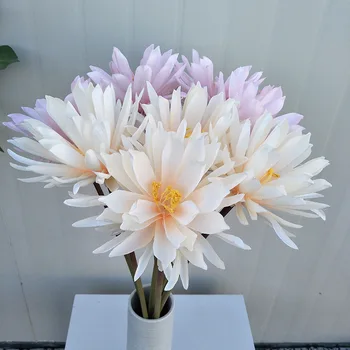 Japanese Epiphyllum Succulents Bonsai simulation rare Cactus Flower artificial plants Indoor decorative display silk Flower
Japanese Epiphyllum Succulents Bonsai simulation rare Cactus Flower artificial plants Indoor decorative display silk Flower