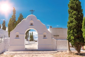 Laeacco Town Arch Pine Sky Sun Photography Backgrounds Thin Vinyl Digital Customized Photographic Backdrops For Photo Studio
Laeacco Town Arch Pine Sky Sun Photography Backgrounds Thin Vinyl Digital Customized Photographic Backdrops For Photo Studio