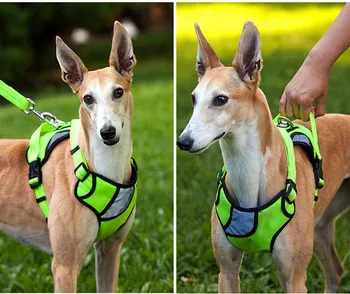 Adjustable Large Dog Harness Nylon Harness for Small Medium Big Dogs Pet Product Reflective Safety Training Accessories 35
Adjustable Large Dog Harness Nylon Harness for Small Medium Big Dogs Pet Product Reflective Safety Training Accessories 35