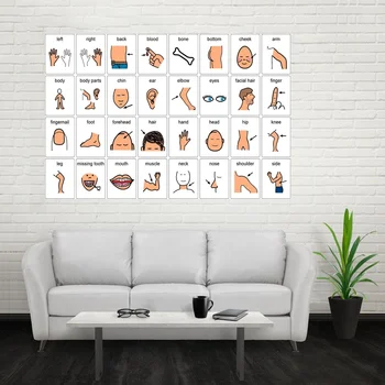 Human Body Parts Poster For Kids Body Parts Art silk Poster Prints Home Wall Decor Painting 24x36 Inches
Human Body Parts Poster For Kids Body Parts Art silk Poster Prints Home Wall Decor Painting 24x36 Inches