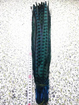 2015 Hot! Light blue 50pcs / lot natural Pheasants feathers, 18-20 "/ 45-50cm DIY jewelry, art performances props Accessories
2015 Hot! Light blue 50pcs / lot natural Pheasants feathers, 18-20 "/ 45-50cm DIY jewelry, art performances props Accessories