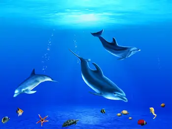 customize Dolphin ocean Kids Bedroom Bedding room Living room Hotel modern blackout curtains
customize Dolphin ocean Kids Bedroom Bedding room Living room Hotel modern blackout curtains