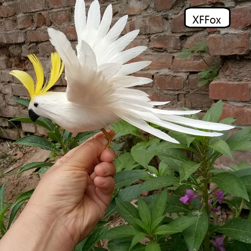 HTB1pc5QSpXXXXXXaXXXq6xXFXXXt