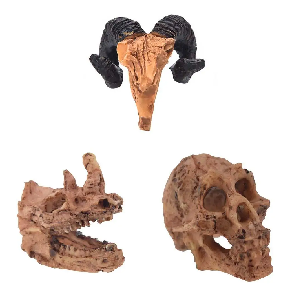 Aquarium Decoration Resin Simulation Statue Landscape Reptile Cave Artificial Rhino Sheep Head Skull Terrarium Ornament Decor
Aquarium Decoration Resin Simulation Statue Landscape Reptile Cave Artificial Rhino Sheep Head Skull Terrarium Ornament Decor