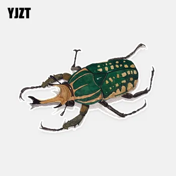 YJZT 12.4*8.1CM Lovely Stag Beetles Decor Car Stickers High Quality Personalized Colored 11A0624 
YJZT 12.4*8.1CM Lovely Stag Beetles Decor Car Stickers High Quality Personalized Colored 11A0624