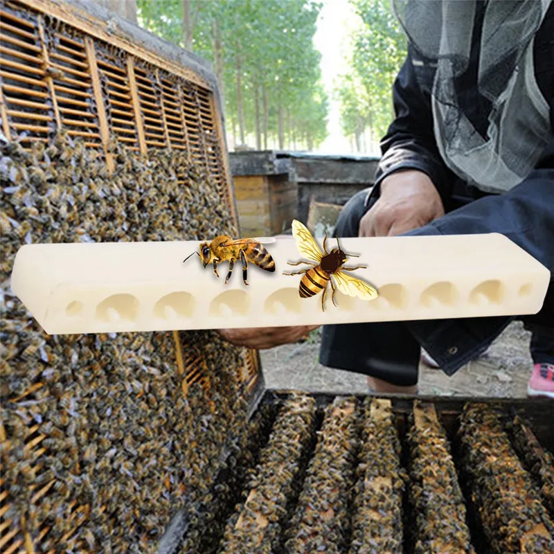 8-hole Boya nest door white anti-theft device beehive door Wang Feng bee beekeeping tools
8-hole Boya nest door white anti-theft device beehive door Wang Feng bee beekeeping tools