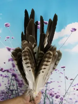 New! 50 pc high-quality eagle bird feathers, 10-16 "/ 25-40cm DIY jewelry decoration
New! 50 pc high-quality eagle bird feathers, 10-16 "/ 25-40cm DIY jewelry decoration