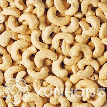 5pcs Red Yellow Cashew Seed Anacardium Occidentale Plant Tree Rare Tropical Cashew Apple Seeds Plants Miracle Fruit Free Ship
5pcs Red Yellow Cashew Seed Anacardium Occidentale Plant Tree Rare Tropical Cashew Apple Seeds Plants Miracle Fruit Free Ship