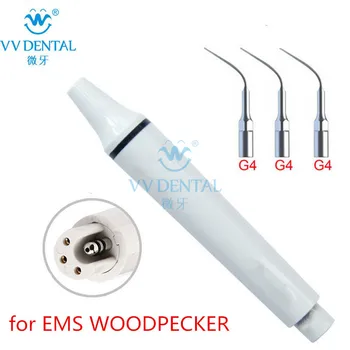 Dental oral hygiene dental equipment ultrasonic scaler dental tip/ handpiece compatible with EMS / WOODPECKER
Dental oral hygiene dental equipment ultrasonic scaler dental tip/ handpiece compatible with EMS / WOODPECKER