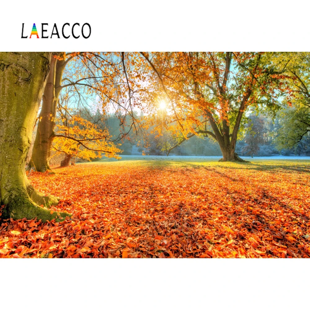 

Laeacco Autumn Forests Landscapes Sunlight Pathway Portrait Scene Photographic Backgrounds Photography Backdrop For Photo Studio