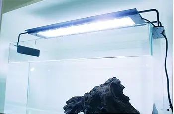 Nemo 54W Light Aqua Freshwater fish tank lights, aquarium plants, water tank,Stretchable fish tank LED lamp
Nemo 54W Light Aqua Freshwater fish tank lights, aquarium plants, water tank,Stretchable fish tank LED lamp