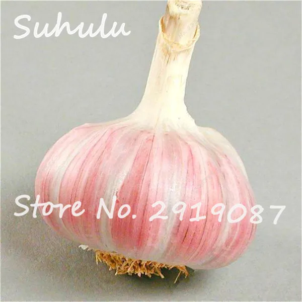 D87029B8D4CE6D443549546CCC408E76