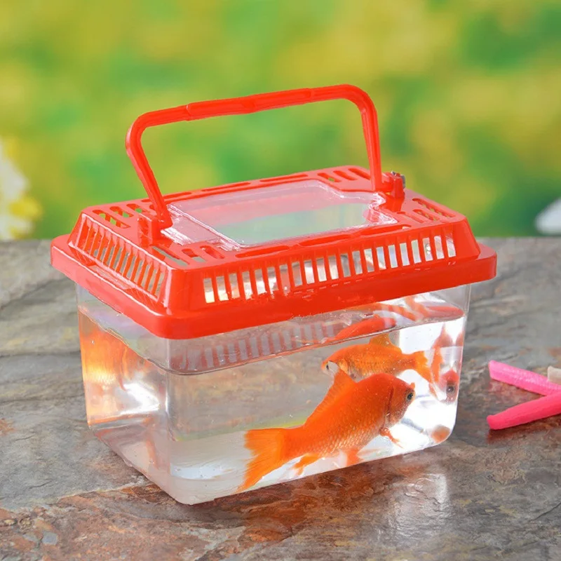 6pcs Mini Fish Tank Aquarium Goldfish bowl turtle pet Reptile Tortoise cage feed box office Desktop Decor spider lizard hamster
6pcs Mini Fish Tank Aquarium Goldfish bowl turtle pet Reptile Tortoise cage feed box office Desktop Decor spider lizard hamster