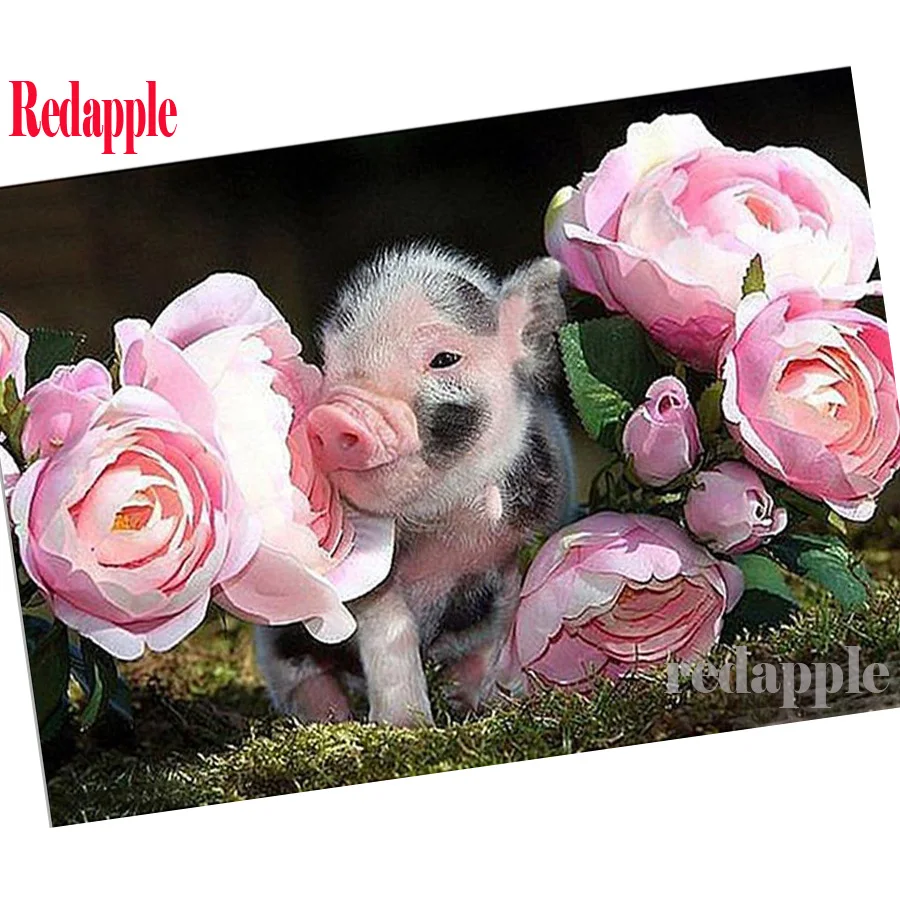 Full Square Drill 5D DIY Diamond Painting "Pigs Flowers" 3D Embroidery Cross Stitch Mosaic picture of rhinestones new arrival
Full Square Drill 5D DIY Diamond Painting "Pigs Flowers" 3D Embroidery Cross Stitch Mosaic picture of rhinestones new arrival