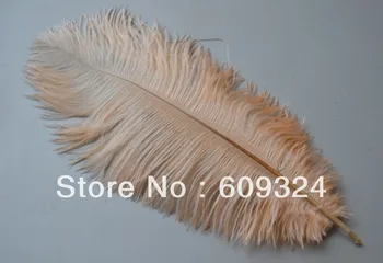 Free shipping 100pcs 12-14inches Peachy Pink Ostrich Plume Feathers for table centerpiece Wedding centerpiece Party Decoration
Free shipping 100pcs 12-14inches Peachy Pink Ostrich Plume Feathers for table centerpiece Wedding centerpiece Party Decoration