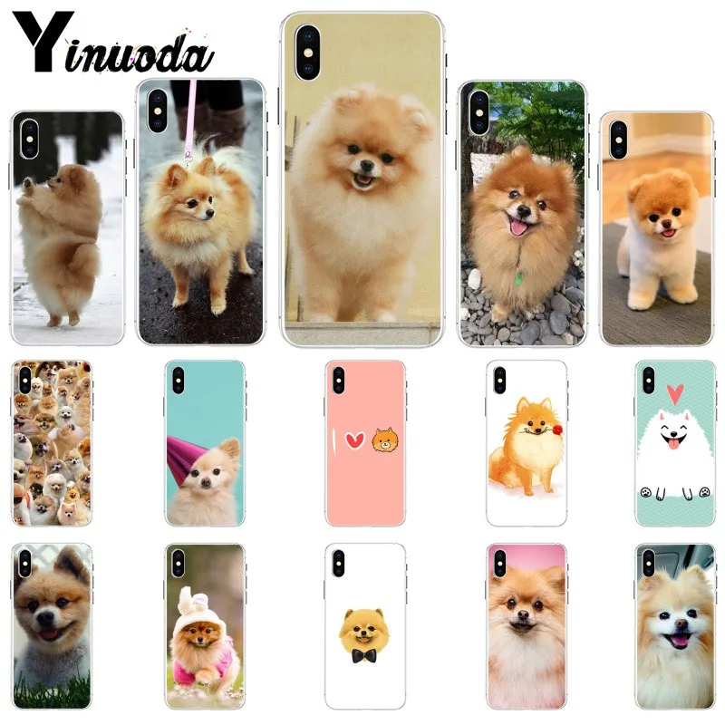 Yinuoda Pomeranian dogs dog TPU Soft Silicone Phone Case Cover for Apple iPhone 8 7 6 6S Plus X XS MAX 5 5S SE XR Cellphones
Yinuoda Pomeranian dogs dog TPU Soft Silicone Phone Case Cover for Apple iPhone 8 7 6 6S Plus X XS MAX 5 5S SE XR Cellphones