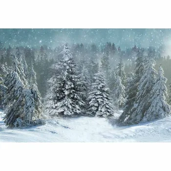 Christmas Vinyl Photography Background Christmas Tree Winter Snowflake Children Backdrops for Photo Studio ZH-271
Christmas Vinyl Photography Background Christmas Tree Winter Snowflake Children Backdrops for Photo Studio ZH-271