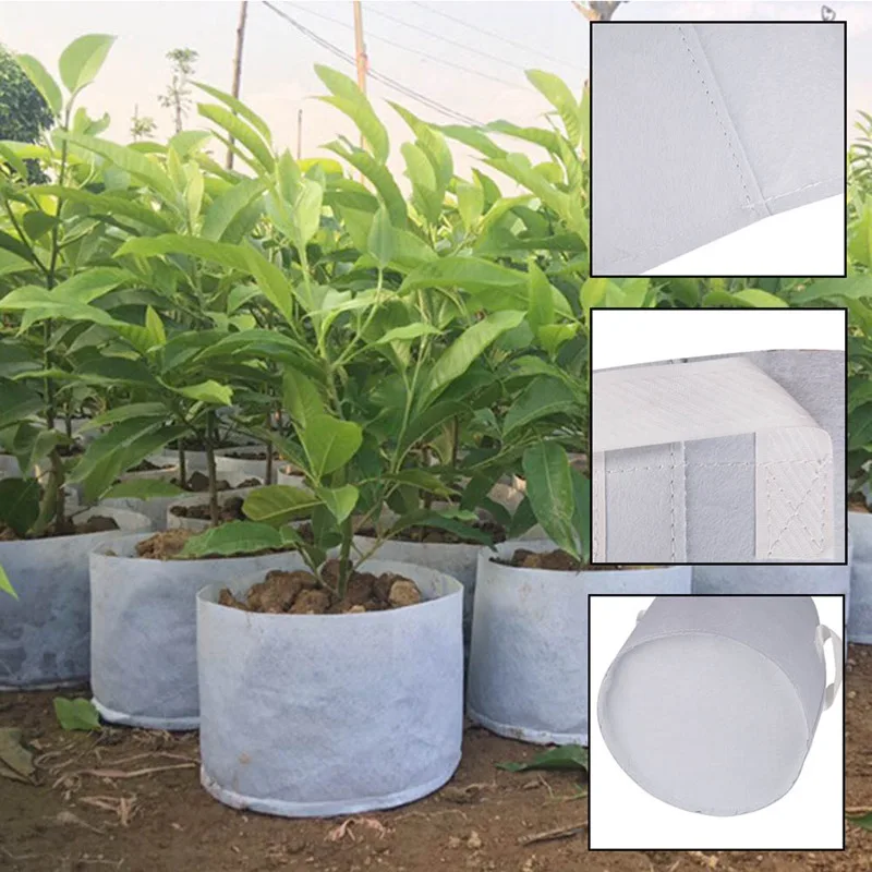 Round Fabric Pots Plant Vegetable Pouch Root Container Grow Bag Aeration Pot Container
Round Fabric Pots Plant Vegetable Pouch Root Container Grow Bag Aeration Pot Container