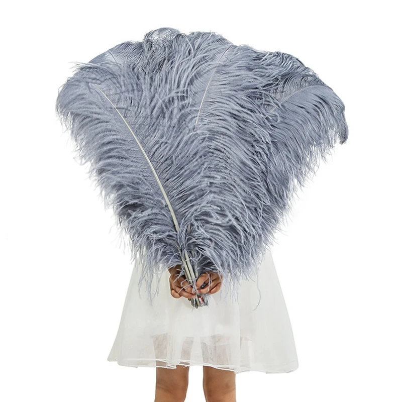 2pc/lot Grey Beautiful cheap Ostrich Feathers for DIY Jewelry Craft Making Wedding Party Decor Accessories Wedding Decoration
2pc/lot Grey Beautiful cheap Ostrich Feathers for DIY Jewelry Craft Making Wedding Party Decor Accessories Wedding Decoration