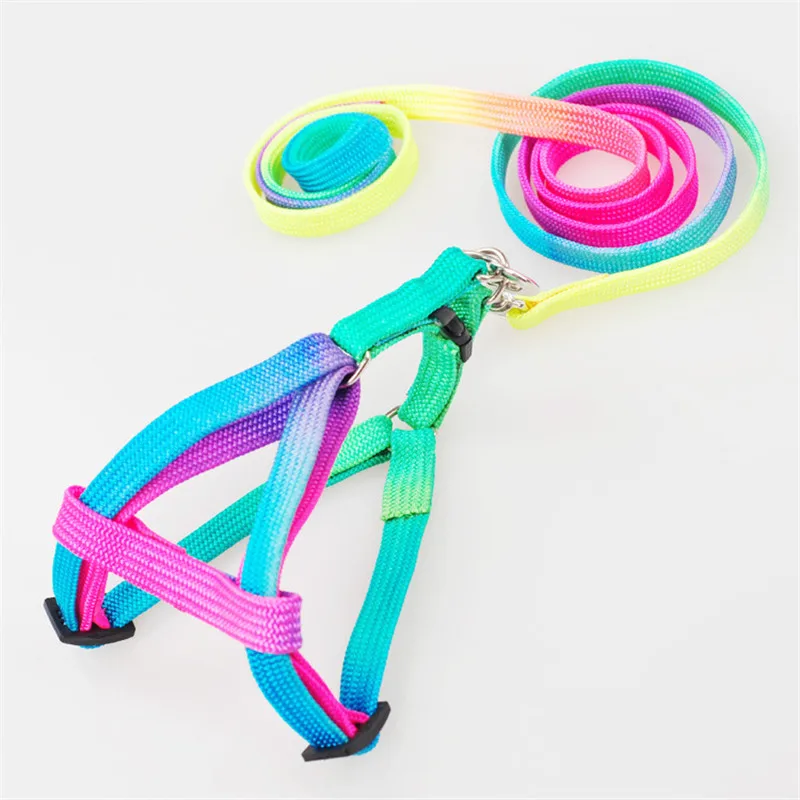 Strengthen Colorful Pets Puppy Lead Harness Leash Dog Traction Leads Rope Nylon for small-sized dog cat teddy Drop Shipping
Strengthen Colorful Pets Puppy Lead Harness Leash Dog Traction Leads Rope Nylon for small-sized dog cat teddy Drop Shipping