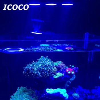 LED Aquarium Light 30W Indoor Aquarium LED Light Saltwater Lighting with Touch Control for Coral Reef Fish Tank
LED Aquarium Light 30W Indoor Aquarium LED Light Saltwater Lighting with Touch Control for Coral Reef Fish Tank