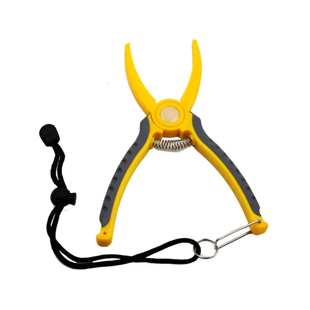 51ZjjUnqXZL._SL1001_