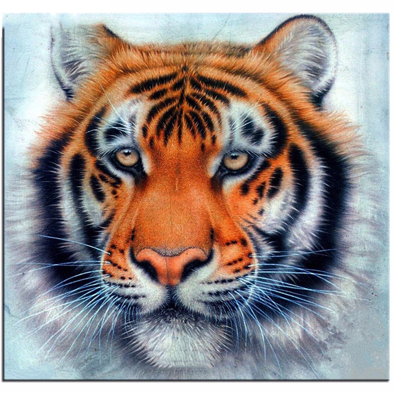 100% Full 5D Diy Daimond Painting "Tiger Face" 3D Diamond Painting Round Rhinestones Diamant Painting Embroidery Animals
100% Full 5D Diy Daimond Painting "Tiger Face" 3D Diamond Painting Round Rhinestones Diamant Painting Embroidery Animals