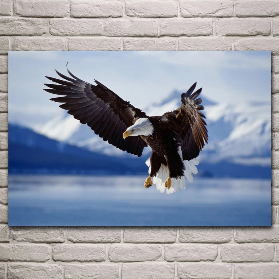 bald eagle alaska wild bird animal artwork living room decoration home wall art decor wood frame fabric posters
bald eagle alaska wild bird animal artwork living room decoration home wall art decor wood frame fabric posters
