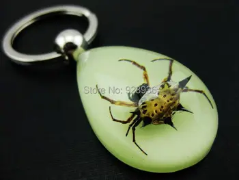 free shipping wholesale 16 pcs glow real sexy spider king luminous cute super glow in dark keychain
free shipping wholesale 16 pcs glow real sexy spider king luminous cute super glow in dark keychain