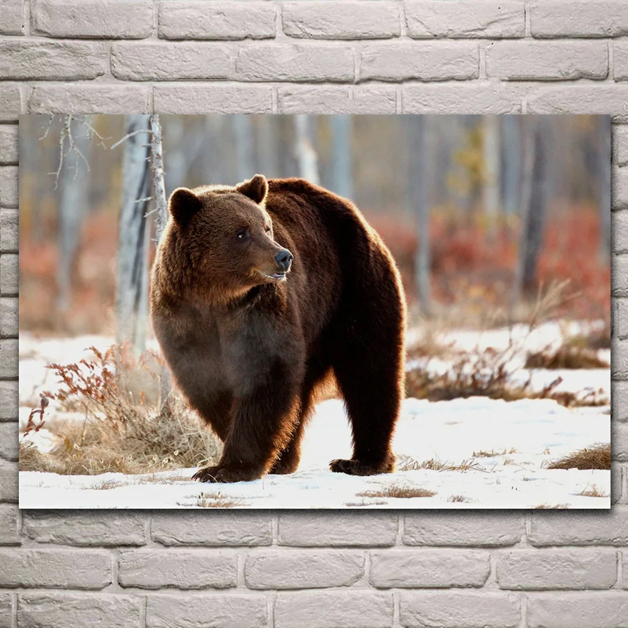 derevia brown bears burji in winter snowy forest living room decoration home wall art decor wood frame fabric posters KH982
derevia brown bears burji in winter snowy forest living room decoration home wall art decor wood frame fabric posters KH982