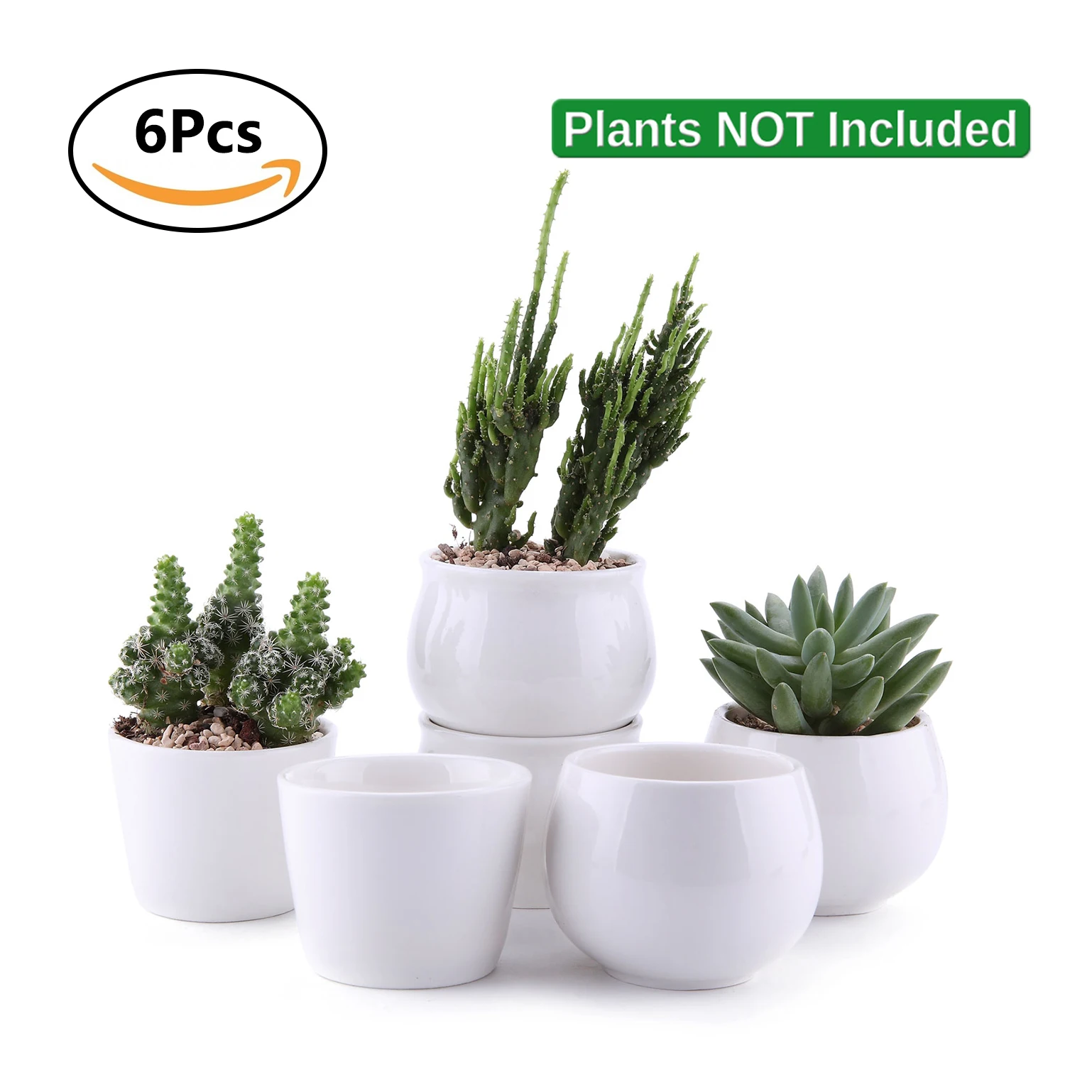T4U 6 pcs Ceramic White Collection succulent Plant Pot Cactus bonsai Pots Flower Pot Container Planter garden decoration
T4U 6 pcs Ceramic White Collection succulent Plant Pot Cactus bonsai Pots Flower Pot Container Planter garden decoration